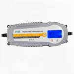 Автомобильное зарядное устройство Volt 12/24V 10A