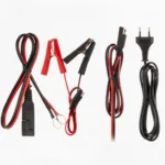 Автомобильное зарядное устройство Volt 12/24V 10A — изображение 4