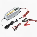 Автомобильное зарядное устройство Volt 12/24V 10A — изображение 2