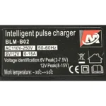 Автомобильное зарядное устройство Voltronic BLM-B02